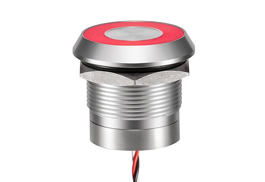 CP22 Series independent capacitive switch