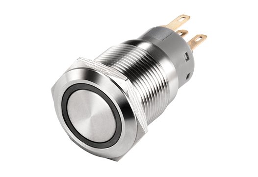 L19A Series SPST, DPDT Anti vandal switch