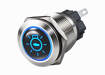 L19T Series Anti vandal switch