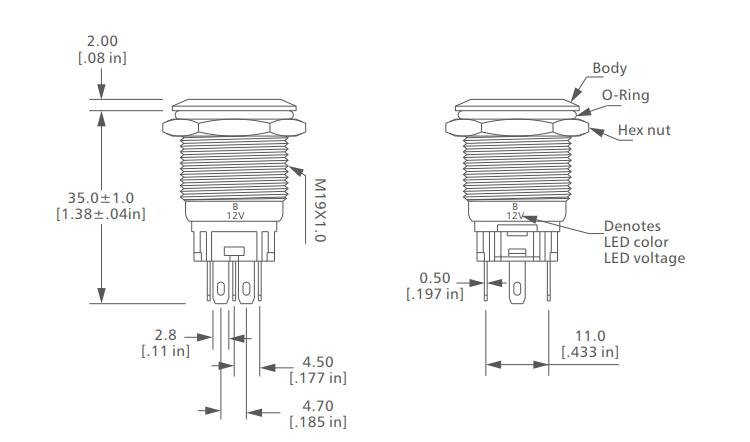 L19T Series transparent power Anti vandal switch drawing