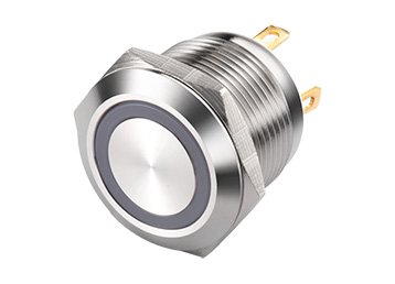 3-LS19 Series Anti vandal switch