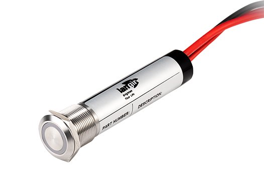 L19Y series high current anti vandal switch