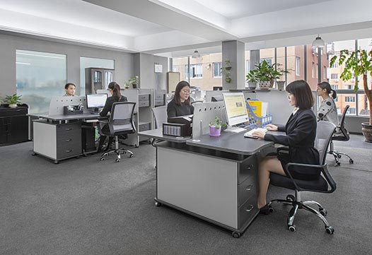 Professional Sales Team