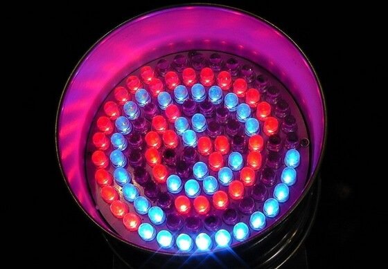 Figure 3 Light Emitting Diodes