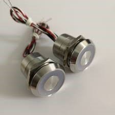 Capacitive switches with flying leads