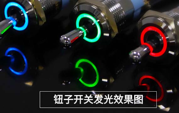 6- 19mm Toggle Switch Ring Illumination
